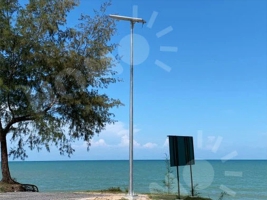 Solar Street Light