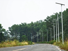 Solar Street Light